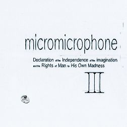 micromicrophone.jpg